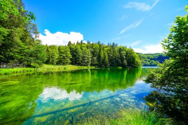Kufstein yakınlarındaki Hechtsee 'de manzara. Avusturya, Tyrol 'daki temiz dağ gölü. Thierberg 'in ormanlık platosunda çevresi sarılı Idyllic gölü..