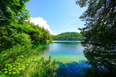 Kufstein yakınlarındaki Hechtsee 'de manzara. Avusturya, Tyrol 'daki temiz dağ gölü. Thierberg 'in ormanlık platosunda çevresi sarılı Idyllic gölü..