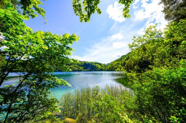 Kufstein yakınlarındaki Hechtsee 'de manzara. Avusturya, Tyrol 'daki temiz dağ gölü. Thierberg 'in ormanlık platosunda çevresi sarılı Idyllic gölü..
