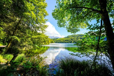 Kufstein yakınlarındaki Hechtsee 'de manzara. Avusturya, Tyrol 'daki temiz dağ gölü. Thierberg 'in ormanlık platosunda çevresi sarılı Idyllic gölü..
