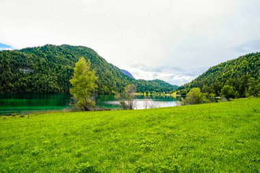 Hintersteiner 'da manzara Tyrol' da Scheffau yakınlarında. Avusturya 'daki Wilder Kaiser doğa koruma alanındaki Dağ Gölü' nün İdyllik doğası.