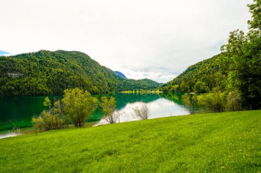 Hintersteiner 'da manzara Tyrol' da Scheffau yakınlarında. Avusturya 'daki Wilder Kaiser doğa koruma alanındaki Dağ Gölü' nün İdyllik doğası.