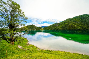 Hintersteiner 'da manzara Tyrol' da Scheffau yakınlarında. Avusturya 'daki Wilder Kaiser doğa koruma alanındaki Dağ Gölü' nün İdyllik doğası.