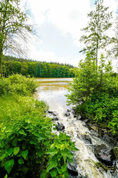 Haunetalsperre ve çevresindeki doğa manzarası. Fulda bölgesindeki Marbach yakınlarında su baskını koruma havzası. Baraj gölünün manzarası.