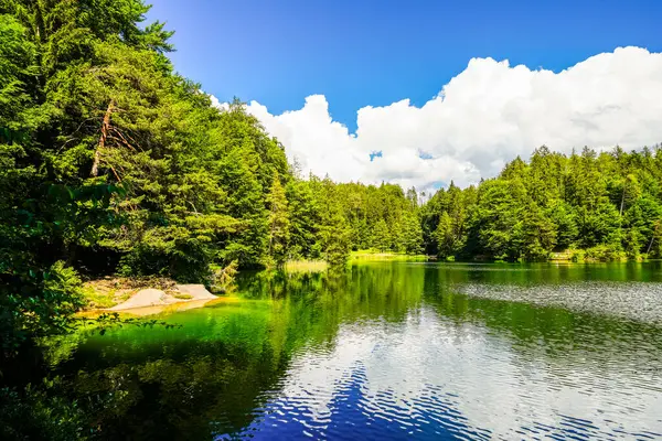 Kufstein yakınlarındaki Hechtsee 'de manzara. Avusturya, Tyrol 'daki temiz dağ gölü. Thierberg 'in ormanlık platosunda çevresi sarılı Idyllic gölü..