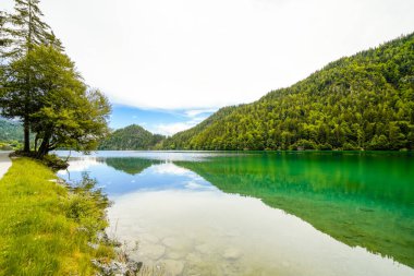 Hintersteiner 'da manzara Tyrol' da Scheffau yakınlarında. Avusturya 'daki Wilder Kaiser doğa koruma alanındaki Dağ Gölü' nün İdyllik doğası.