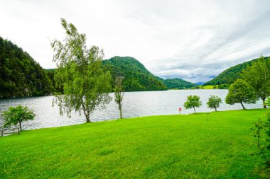 Hintersteiner 'da manzara Tyrol' da Scheffau yakınlarında. Avusturya 'daki Wilder Kaiser doğa koruma alanındaki Dağ Gölü' nün İdyllik doğası.