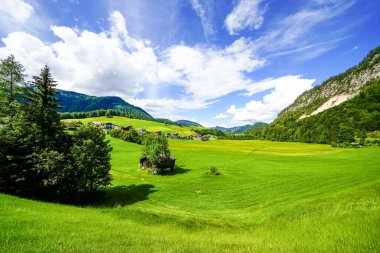 Tyrol 'da Thiersee yakınlarındaki manzara. Çayırları ve dağları olan göl kenarındaki doğa..