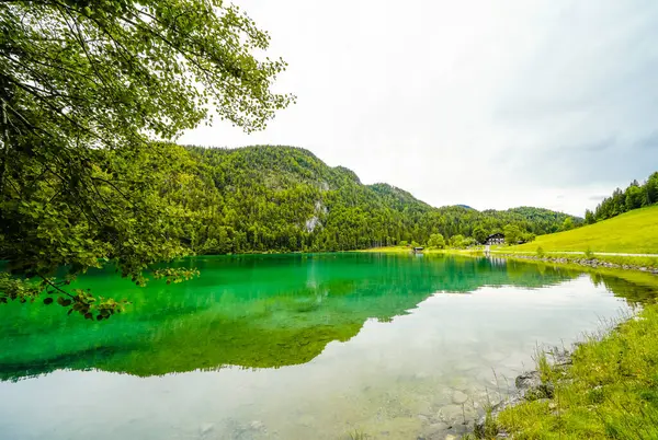 Hintersteiner 'da manzara Tyrol' da Scheffau yakınlarında. Avusturya 'daki Wilder Kaiser doğa koruma alanındaki Dağ Gölü' nün İdyllik doğası.