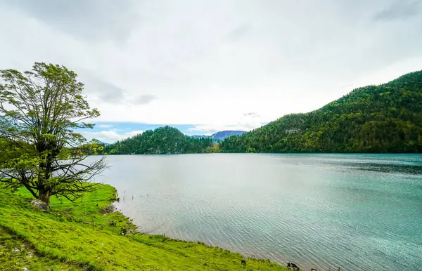 Hintersteiner 'da manzara Tyrol' da Scheffau yakınlarında. Avusturya 'daki Wilder Kaiser doğa koruma alanındaki Dağ Gölü' nün İdyllik doğası.