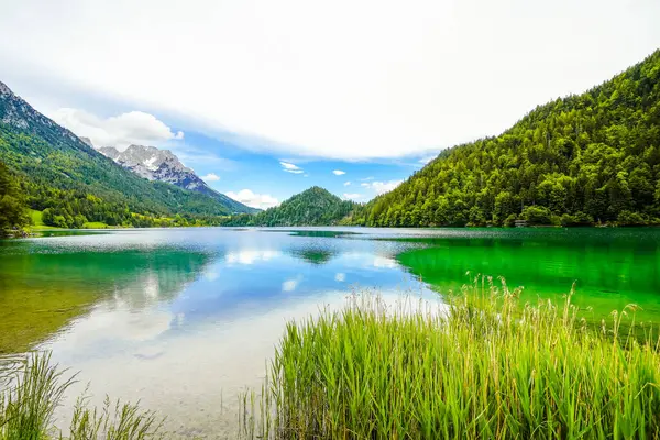 Hintersteiner 'da manzara Tyrol' da Scheffau yakınlarında. Avusturya 'daki Wilder Kaiser doğa koruma alanındaki Dağ Gölü' nün İdyllik doğası.