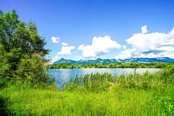 Inntal Dava Arazi Koruma Alanındaki Kreutsee manzarası. Kiefersfelden belediyesinin bölgesindeki taş ocağı gölünde doğa..