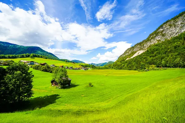 Tyrol 'da Thiersee yakınlarındaki manzara. Çayırları ve dağları olan göl kenarındaki doğa..