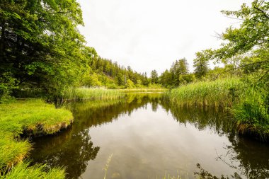 Lanser Mağribi 'nin Tyrol' deki Lans belediyesindeki Paschberg manzarası. Doğayla iç içe küçük bir gölet. Deniz manzarası..