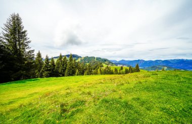 Niederau yakınlarındaki Markbachjoch manzarası. Tyrol 'da Wildschnau yakınlarındaki doğa ve çevre dağlar..