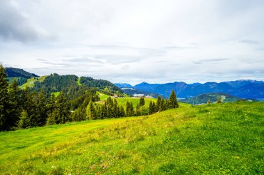 Niederau yakınlarındaki Markbachjoch manzarası. Tyrol 'daki Wildschoenau yakınlarında doğa ve çevre dağlar.