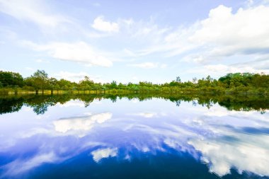 Feilenmoos 'un dinlenme alanındaki manzara. Manching ve Geisenfeld arasında bir göl. Taş ocağındaki doğa..