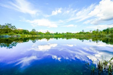 Feilenmoos 'un dinlenme alanındaki manzara. Manching ve Geisenfeld arasında bir göl. Taş ocağındaki doğa..