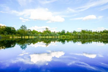 Feilenmoos 'un dinlenme alanındaki manzara. Manching ve Geisenfeld arasında bir göl. Taş ocağındaki doğa..