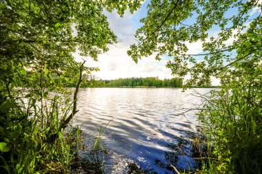 Feilenmoos 'un dinlenme alanındaki manzara. Manching ve Geisenfeld arasında bir göl. Taş ocağındaki doğa..