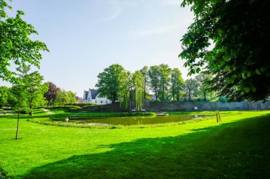 Rees 'teki kurbağa göleti manzarası. Ren 'de parkı olan bir şehir..