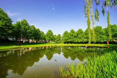 Rees 'teki kurbağa göleti manzarası. Ren 'de parkı olan bir şehir..