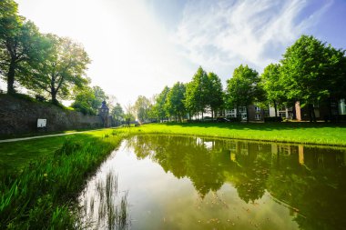 Rees 'teki kurbağa göleti manzarası. Ren 'de parkı olan bir şehir..