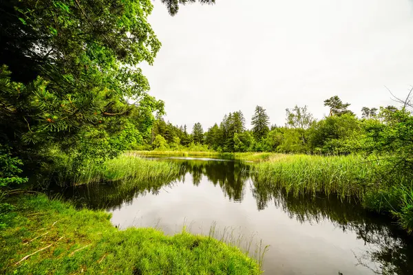 Lanser Mağribi 'nin Tyrol' deki Lans belediyesindeki Paschberg manzarası. Doğayla iç içe küçük bir gölet. Deniz manzarası..
