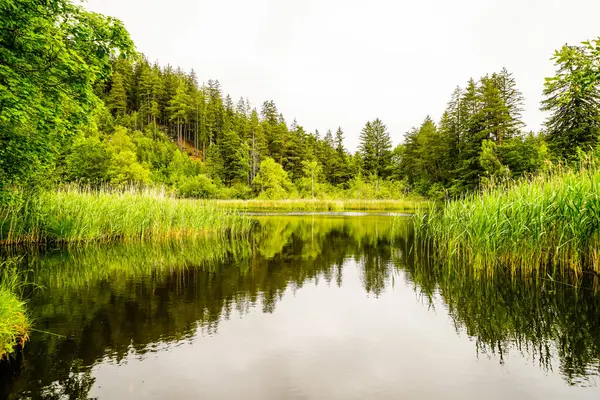 Lanser Mağribi 'nin Tyrol' deki Lans belediyesindeki Paschberg manzarası. Doğayla iç içe küçük bir gölet. Deniz manzarası..