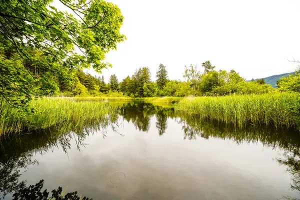 Lanser Mağribi 'nin Tyrol' deki Lans belediyesindeki Paschberg manzarası. Doğayla iç içe küçük bir gölet. Deniz manzarası..