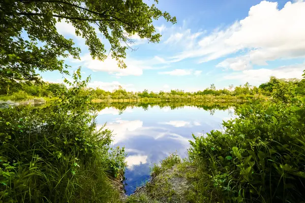 Feilenmoos 'un dinlenme alanındaki manzara. Manching ve Geisenfeld arasında bir göl. Taş ocağındaki doğa..
