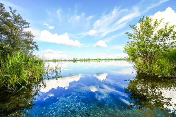 Feilenmoos 'un dinlenme alanındaki manzara. Manching ve Geisenfeld arasında bir göl. Taş ocağındaki doğa..