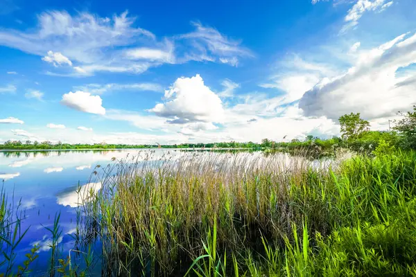 Feilenmoos 'un dinlenme alanındaki manzara. Manching ve Geisenfeld arasında bir göl. Taş ocağındaki doğa..