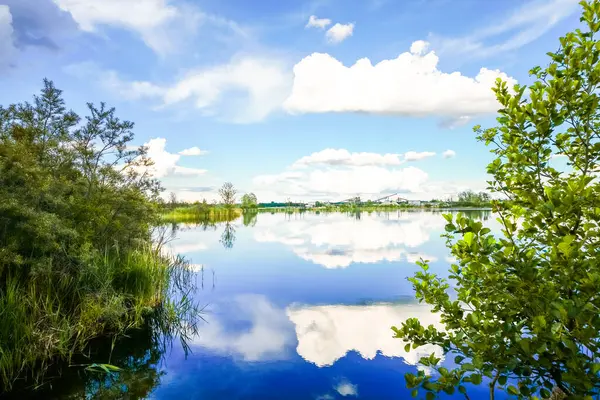 Feilenmoos 'un dinlenme alanındaki manzara. Manching ve Geisenfeld arasında bir göl. Taş ocağındaki doğa..