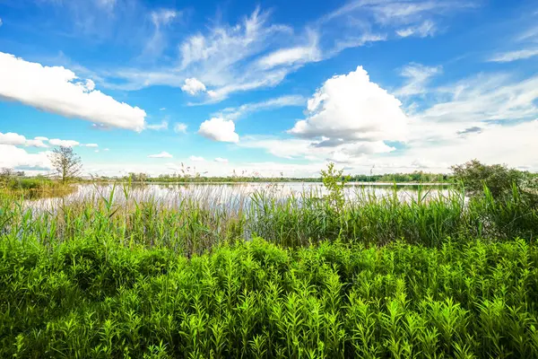 Feilenmoos 'un dinlenme alanındaki manzara. Manching ve Geisenfeld arasında bir göl. Taş ocağındaki doğa..