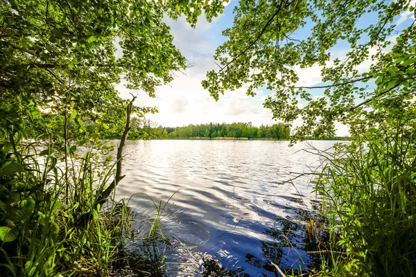 Feilenmoos 'un dinlenme alanındaki manzara. Manching ve Geisenfeld arasında bir göl. Taş ocağındaki doğa..