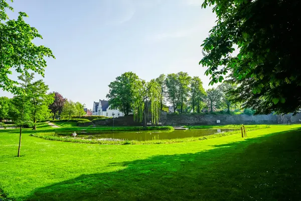 Rees 'teki kurbağa göleti manzarası. Ren 'de parkı olan bir şehir..