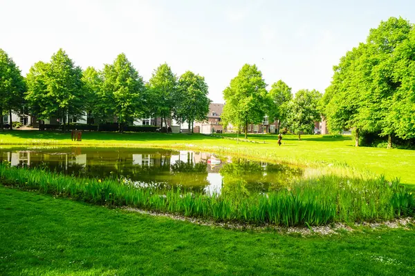 Rees 'teki kurbağa göleti manzarası. Ren 'de parkı olan bir şehir..