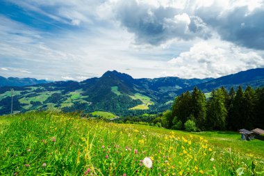 Saalbach Hinterglemm yakınlarındaki Reiterkogel dağından görüntü. Doğa ile çevrili dağ manzarası. Kitzbuehel Alplerinin Dağ Grubu.
