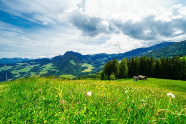 Saalbach Hinterglemm yakınlarındaki Reiterkogel dağından görüntü. Doğa ile çevrili dağ manzarası. Kitzbuehel Alplerinin Dağ Grubu.