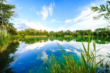 Ingolstadt yakınlarındaki Schafirrsee manzarası. Gerolfinger meşe ormanında, çevresindeki doğayla birlikte yıkanan göl. Bavyera 'daki göl manzarası.