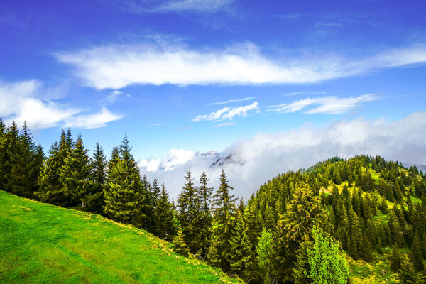 Вид из окна на окружающий пейзаж. Идиотская природа в местечке Вильдшунау в австрийском районе Куфштайн. Горный пейзаж в Альпах Китцбуэля в Тироле.
