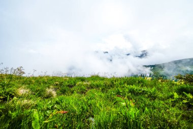 Çevredeki manzaranın Schatzberg 'den görüntüsü. Avusturya 'nın Kufstein bölgesindeki Wildschoenau' da Idyllic doğa. Tyrol 'daki Kitzbuehel Alplerinde dağ manzarası.