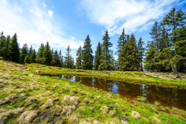 Çevredeki manzaranın Schatzberg 'den görüntüsü. Avusturya 'nın Kufstein bölgesindeki Wildschoenau' da Idyllic doğa. Tyrol 'daki Kitzbuehel Alplerinde dağ manzarası.