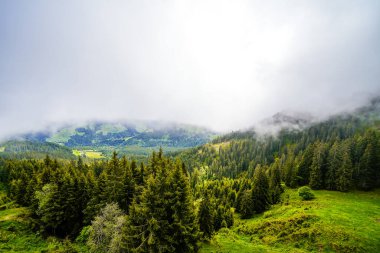 Çevredeki manzaranın Schatzberg 'den görüntüsü. Avusturya 'nın Kufstein bölgesindeki Wildschoenau' da Idyllic doğa. Tyrol 'daki Kitzbuehel Alplerinde dağ manzarası.