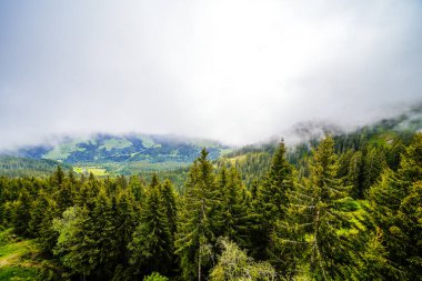Çevredeki manzaranın Schatzberg 'den görüntüsü. Avusturya 'nın Kufstein bölgesindeki Wildschoenau' da Idyllic doğa. Tyrol 'daki Kitzbuehel Alplerinde dağ manzarası.