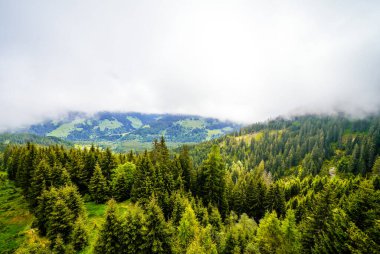 Çevredeki manzaranın Schatzberg 'den görüntüsü. Avusturya 'nın Kufstein bölgesindeki Wildschoenau' da Idyllic doğa. Tyrol 'daki Kitzbuehel Alplerinde dağ manzarası.