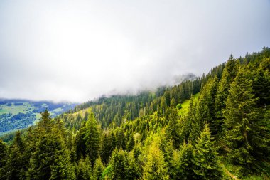 Çevredeki manzaranın Schatzberg 'den görüntüsü. Avusturya 'nın Kufstein bölgesindeki Wildschoenau' da Idyllic doğa. Tyrol 'daki Kitzbuehel Alplerinde dağ manzarası.