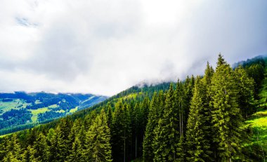 Çevredeki manzaranın Schatzberg 'den görüntüsü. Avusturya 'nın Kufstein bölgesindeki Wildschoenau' da Idyllic doğa. Tyrol 'daki Kitzbuehel Alplerinde dağ manzarası.