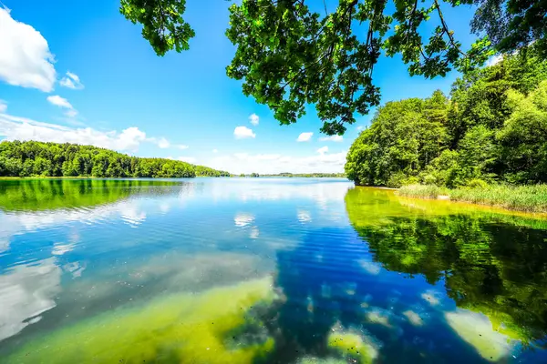 Seehamer See ve Münih yakınlarındaki Weyarn belediyesinin manzarası. Göl kıyısında turkuaz suyla donanımlı bir doğa..